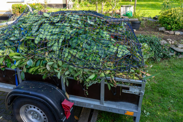 Trusted South Burlington, VT Junk Removal Services Experts